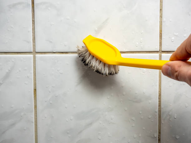 Best Mold Cleaning Services  in Tehachapi, CA