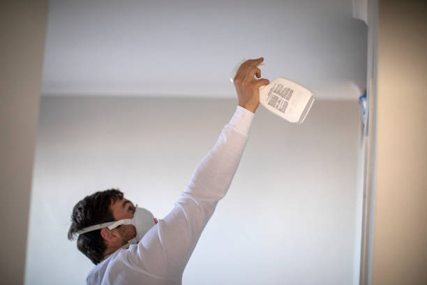 Best Best Mold Removal Companies  in Tehachapi, CA