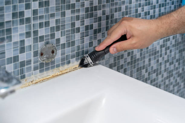 Best Mold Cleaning Services  in Tehachapi, CA